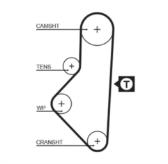 Timing Belt  - 5050XS Gates  Timing Belt