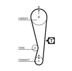 Timing Belt  - 5318XS Gates  Timing Belt
