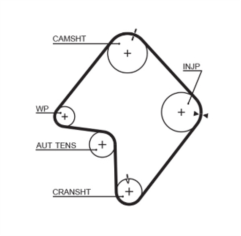 Timing Belt  - 5355XS Gates  Timing Belt
