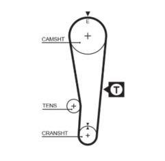 Timing Belt  - 5382XS Gates  Timing Belt