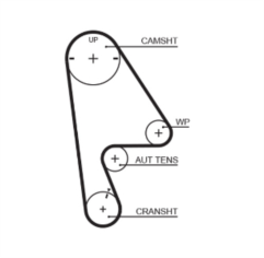 Timing Belt  - 5410XS Gates  Timing Belt