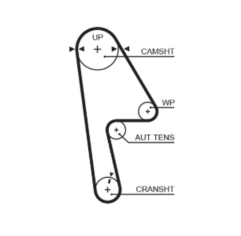Timing Belt  - 5593XS Gates  Timing Belt