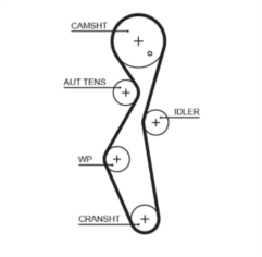 Timing Belt  - 5672XS Gates  Timing Belt
